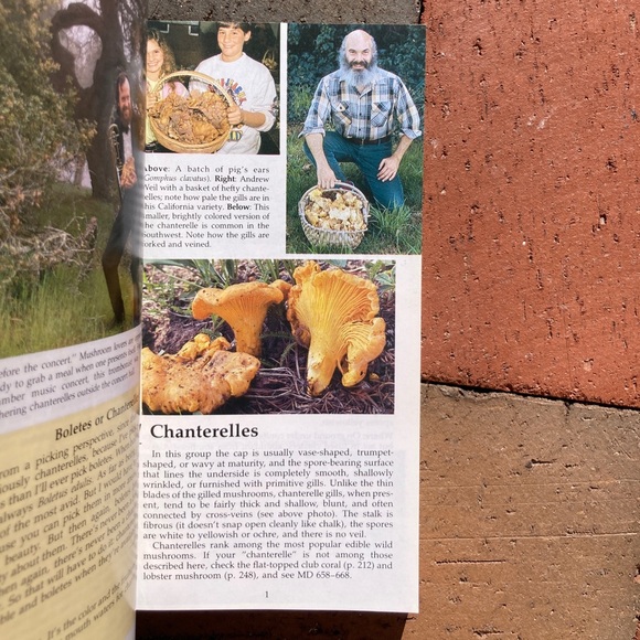 All That the Rain Promises and More Edible Mushrooms Mushie Pocket Guide Plant - Picture 8 of 13